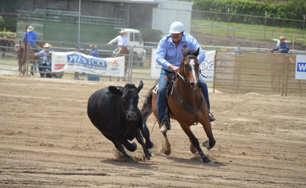 Peter Connor on Takimpter Grouse came third in the Black Toyota Gold Cup finals. Photo Georja Ryan / Warwick Daily News Peter Connor on Takimpter Grouse came third in the Black Toyota Gold Cup finals. Photo Georja Ryan / Warwick Daily News